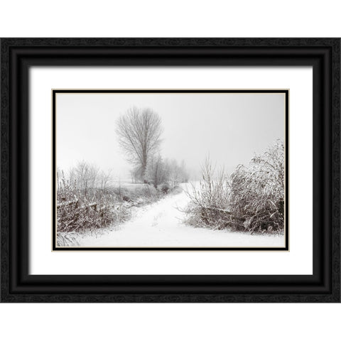 Snowy Farm Black Ornate Wood Framed Art Print with Double Matting by Lee, Rachel