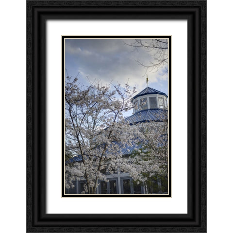 Spring Carousel Black Ornate Wood Framed Art Print with Double Matting by Lee, Rachel