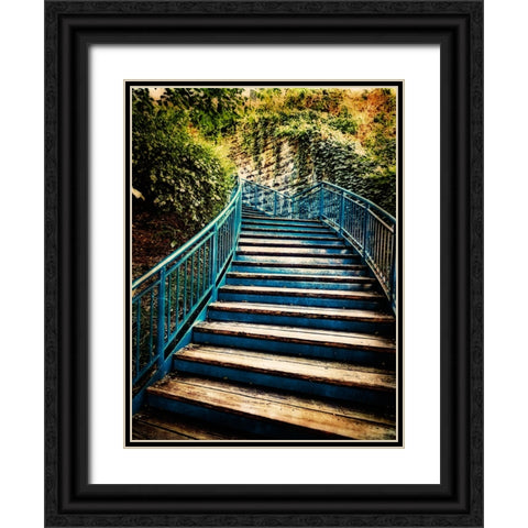 Step Up Saturation Vignette Black Ornate Wood Framed Art Print with Double Matting by Lee, Rachel