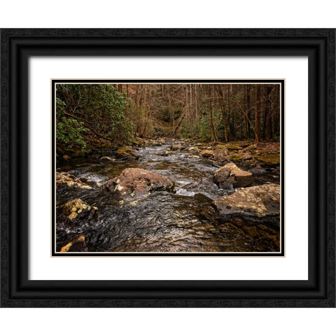 Stinging Fork Creek 4 Black Ornate Wood Framed Art Print with Double Matting by Lee, Rachel