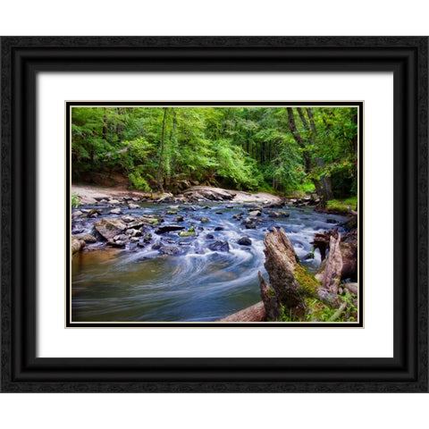 Stream 12 Black Ornate Wood Framed Art Print with Double Matting by Lee, Rachel
