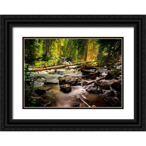Stream 13 Black Ornate Wood Framed Art Print with Double Matting by Lee, Rachel