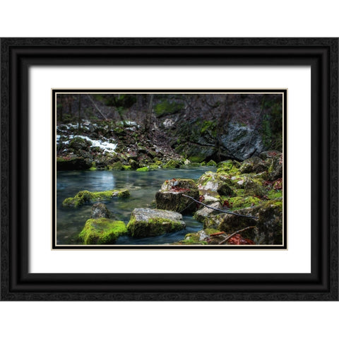 Stream 2 Black Ornate Wood Framed Art Print with Double Matting by Lee, Rachel