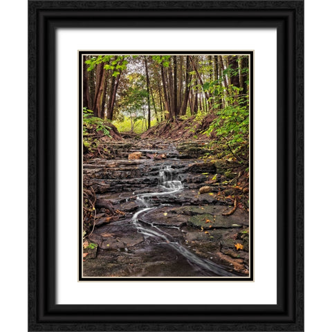 Stream 20 Black Ornate Wood Framed Art Print with Double Matting by Lee, Rachel