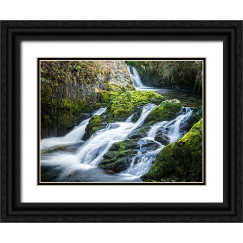 Stream 22 Black Ornate Wood Framed Art Print with Double Matting by Lee, Rachel