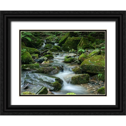Stream 9 Black Ornate Wood Framed Art Print with Double Matting by Lee, Rachel