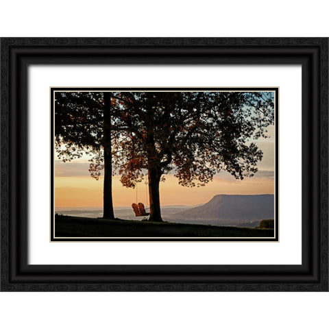 Sunrise Swing Lookout Black Ornate Wood Framed Art Print with Double Matting by Lee, Rachel