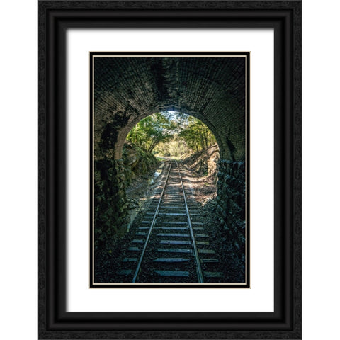Train Enter Tunnel 1 Black Ornate Wood Framed Art Print with Double Matting by Lee, Rachel