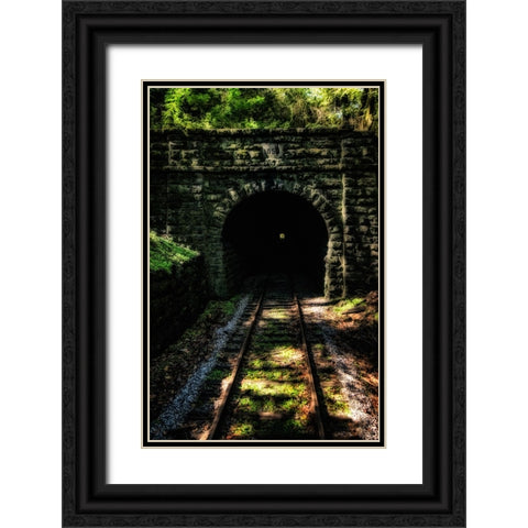 Train Enter Tunnel 4 Black Ornate Wood Framed Art Print with Double Matting by Lee, Rachel