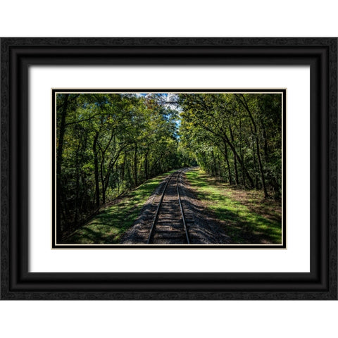 Train Track 5 Black Ornate Wood Framed Art Print with Double Matting by Lee, Rachel