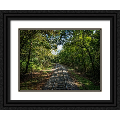 Train Track 6 Black Ornate Wood Framed Art Print with Double Matting by Lee, Rachel