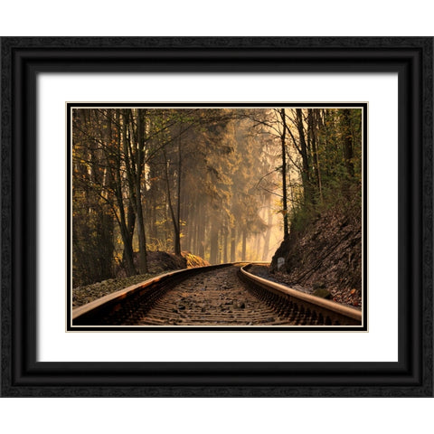 Train Track 9 Black Ornate Wood Framed Art Print with Double Matting by Lee, Rachel