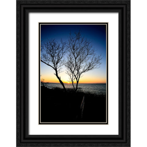 Tree Sunset Black Ornate Wood Framed Art Print with Double Matting by Lee, Rachel