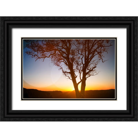 Tree Sunset 1 Black Ornate Wood Framed Art Print with Double Matting by Lee, Rachel