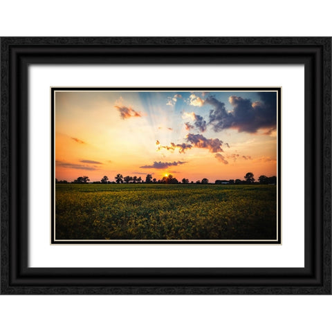 Tree Sunset 2 Black Ornate Wood Framed Art Print with Double Matting by Lee, Rachel