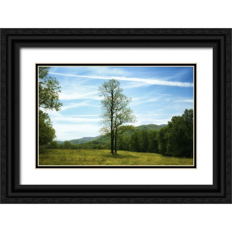 Trees 11 Black Ornate Wood Framed Art Print with Double Matting by Lee, Rachel