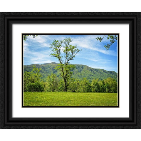Trees 12 Black Ornate Wood Framed Art Print with Double Matting by Lee, Rachel