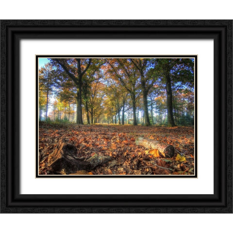 Trees 2 Black Ornate Wood Framed Art Print with Double Matting by Lee, Rachel