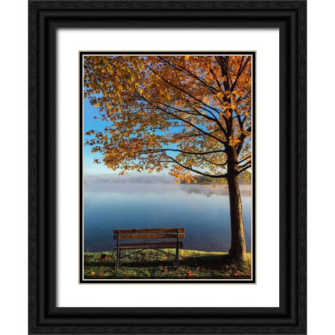 Trees 21 Black Ornate Wood Framed Art Print with Double Matting by Lee, Rachel