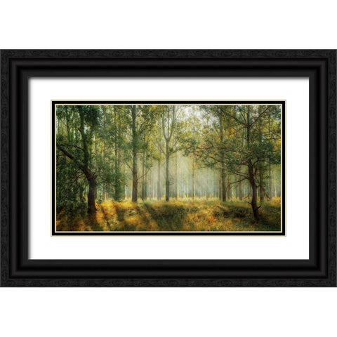 Trees 27 Black Ornate Wood Framed Art Print with Double Matting by Lee, Rachel