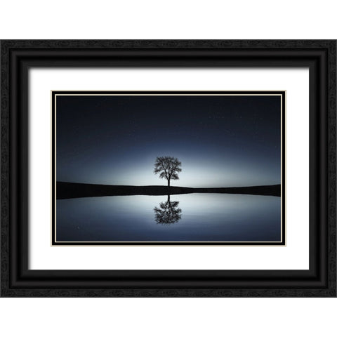 Trees 29 Black Ornate Wood Framed Art Print with Double Matting by Lee, Rachel