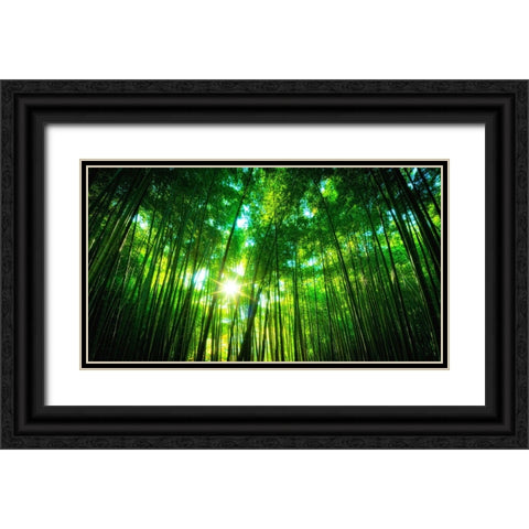 Trees 31 Black Ornate Wood Framed Art Print with Double Matting by Lee, Rachel