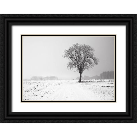 Trees 33 Black Ornate Wood Framed Art Print with Double Matting by Lee, Rachel