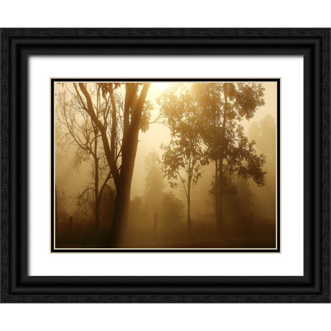 Trees 37 Black Ornate Wood Framed Art Print with Double Matting by Lee, Rachel