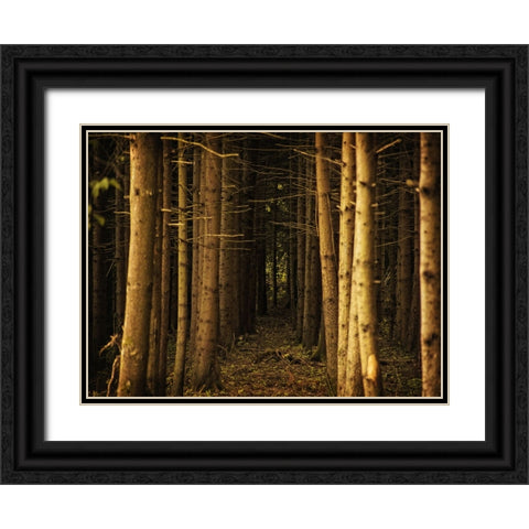 Trees 39 Black Ornate Wood Framed Art Print with Double Matting by Lee, Rachel