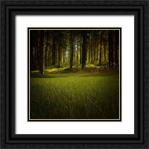 Trees 41 Black Ornate Wood Framed Art Print with Double Matting by Lee, Rachel