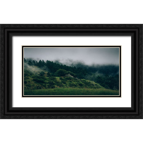 Trees 44 Black Ornate Wood Framed Art Print with Double Matting by Lee, Rachel