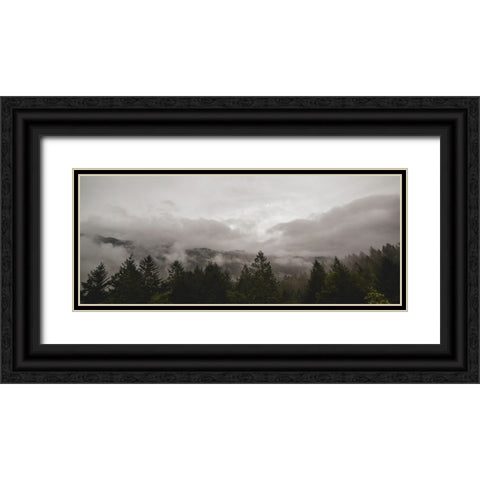 Trees 46 Black Ornate Wood Framed Art Print with Double Matting by Lee, Rachel