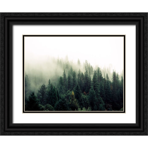 Trees 47 Black Ornate Wood Framed Art Print with Double Matting by Lee, Rachel