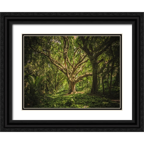 Trees 53 Black Ornate Wood Framed Art Print with Double Matting by Lee, Rachel