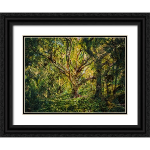 Trees 53 Painted Black Ornate Wood Framed Art Print with Double Matting by Lee, Rachel