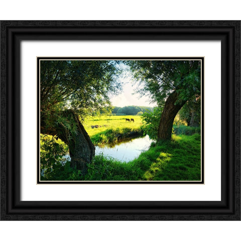 Trees 58 Black Ornate Wood Framed Art Print with Double Matting by Lee, Rachel