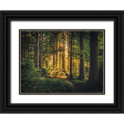 Trees 61 Black Ornate Wood Framed Art Print with Double Matting by Lee, Rachel