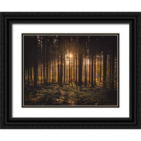 Trees 63 Black Ornate Wood Framed Art Print with Double Matting by Lee, Rachel