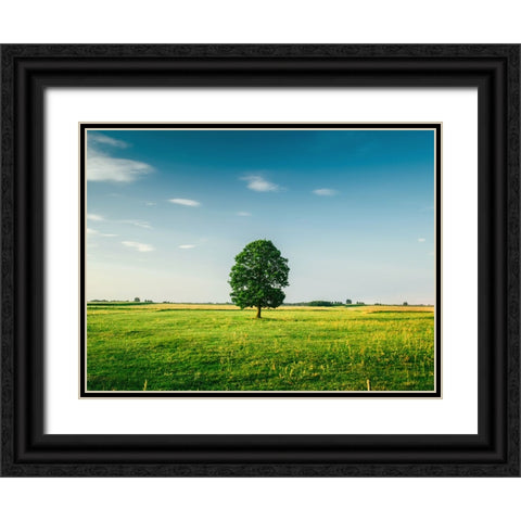 Trees 67 Black Ornate Wood Framed Art Print with Double Matting by Lee, Rachel
