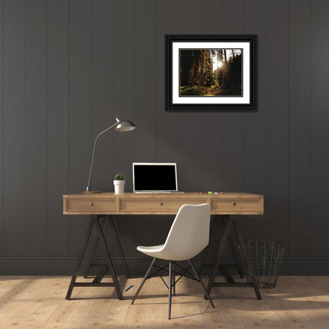 Trees 69 Black Ornate Wood Framed Art Print with Double Matting by Lee, Rachel
