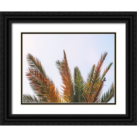Trees 82 Black Ornate Wood Framed Art Print with Double Matting by Lee, Rachel