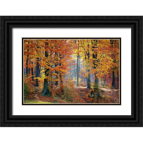 Trees 9 Black Ornate Wood Framed Art Print with Double Matting by Lee, Rachel