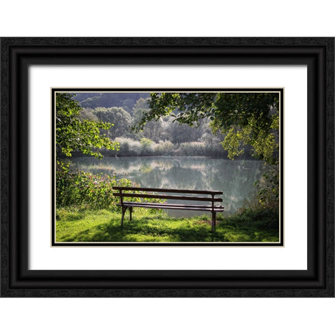 Trees And Water 3 Black Ornate Wood Framed Art Print with Double Matting by Lee, Rachel