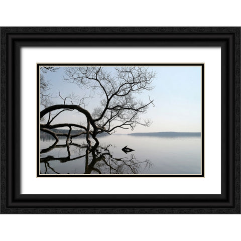 Trees and Water 7 Black Ornate Wood Framed Art Print with Double Matting by Lee, Rachel