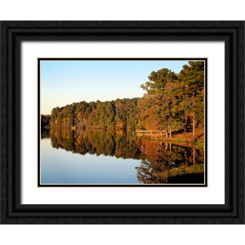 Trees And Water 9 Black Ornate Wood Framed Art Print with Double Matting by Lee, Rachel