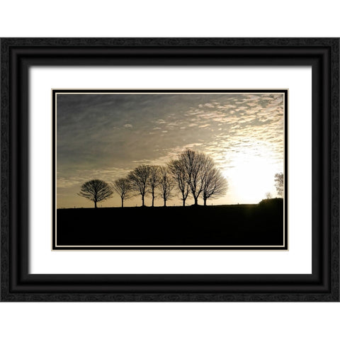 Trees Evening Black Ornate Wood Framed Art Print with Double Matting by Lee, Rachel
