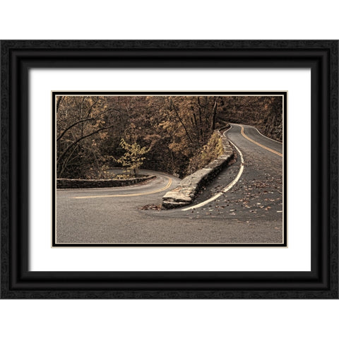 W Road 1 Black Ornate Wood Framed Art Print with Double Matting by Lee, Rachel