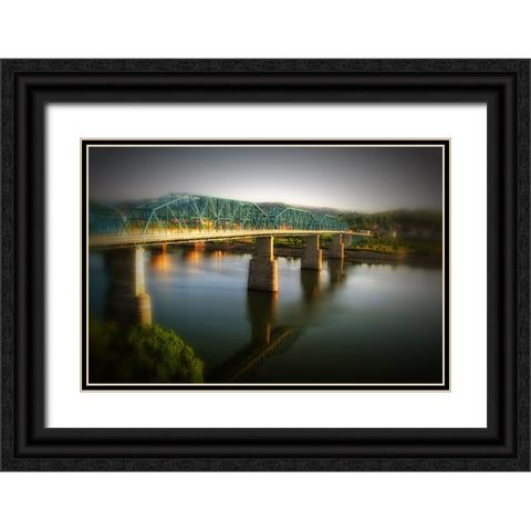 Walnut From Hunter Black Ornate Wood Framed Art Print with Double Matting by Lee, Rachel