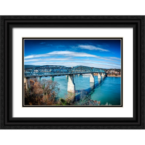 Walnut From Hunter Deck Black Ornate Wood Framed Art Print with Double Matting by Lee, Rachel