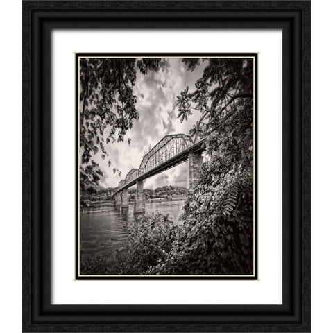 Walnut From South BW Rugged Black Ornate Wood Framed Art Print with Double Matting by Lee, Rachel